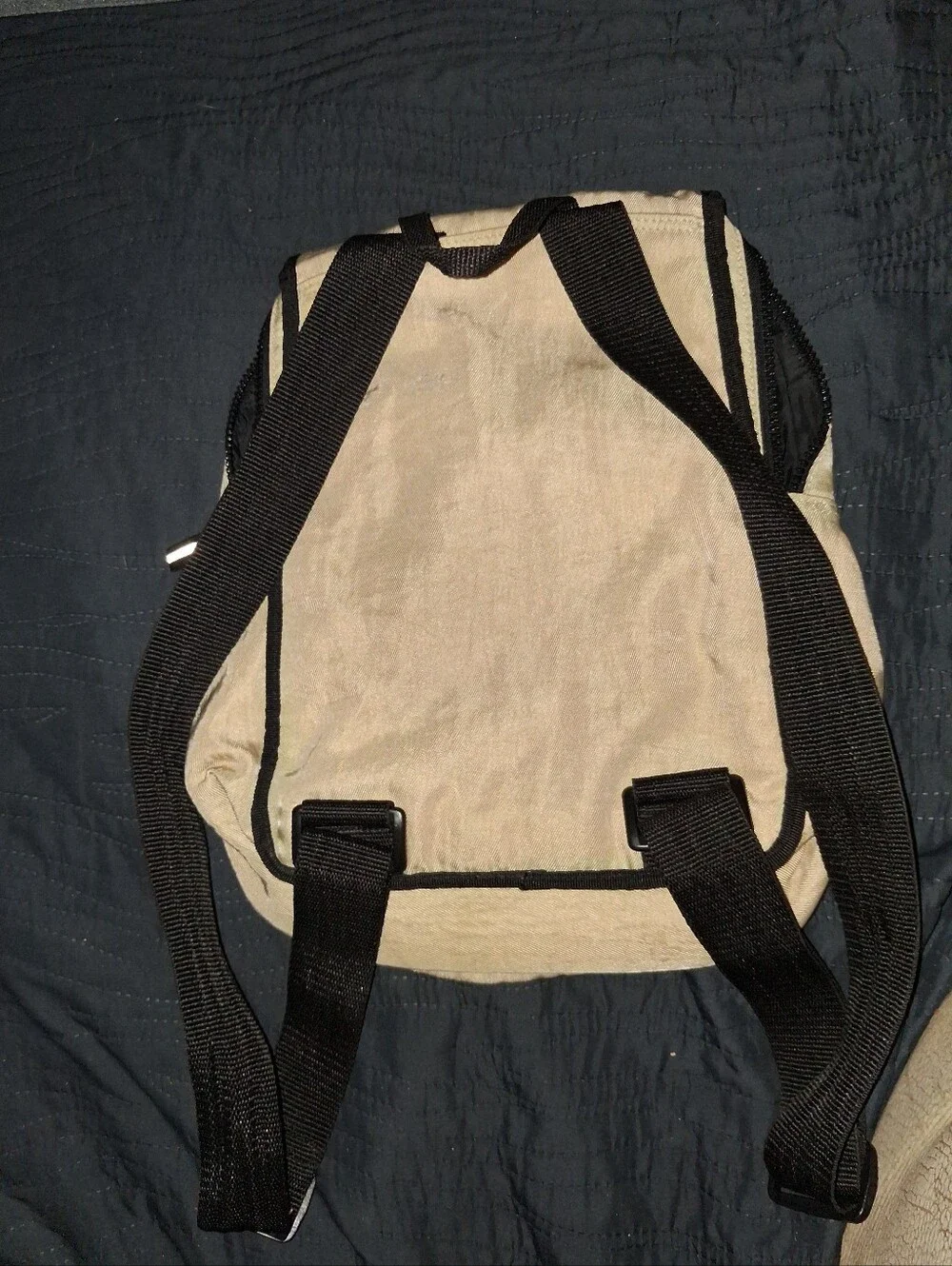 DKNY Beige Canvas Backpack with Black Trim